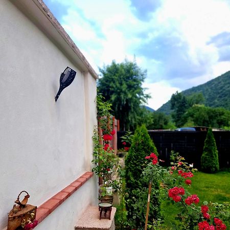 Renate House Hotell Băile Herculane Eksteriør bilde