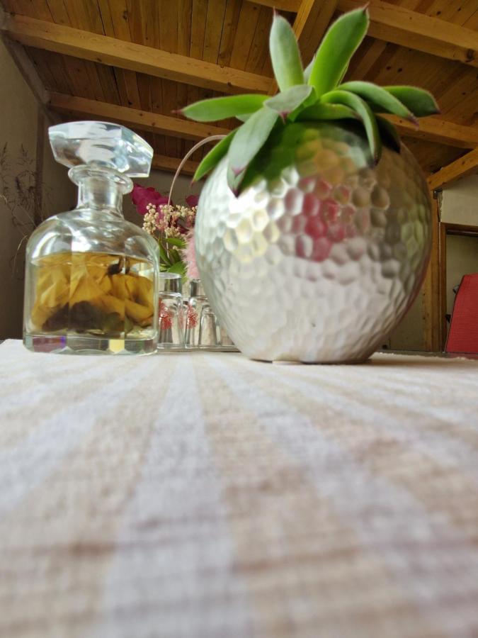 Renate House Hotell Băile Herculane Eksteriør bilde