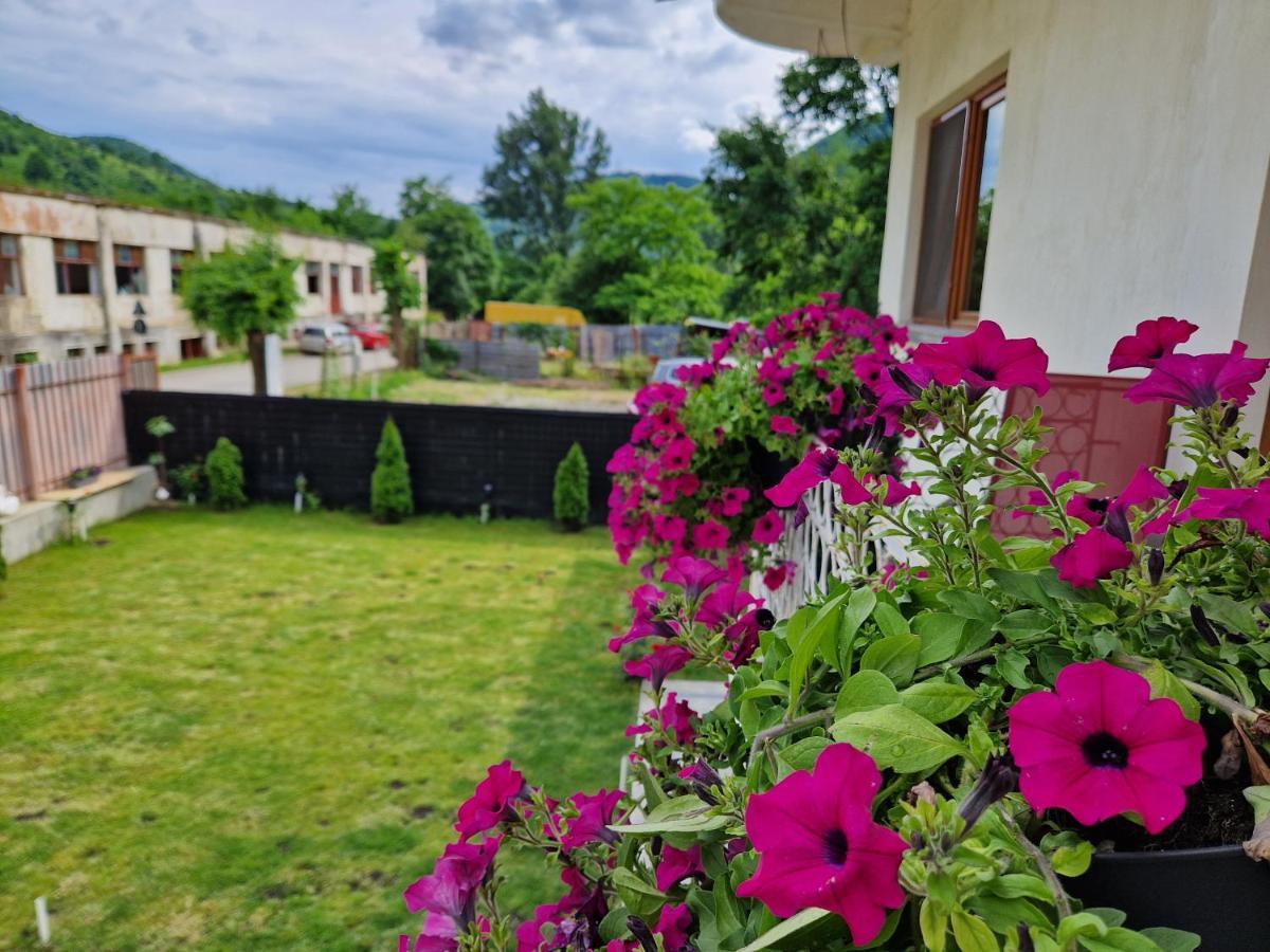 Renate House Hotell Băile Herculane Eksteriør bilde