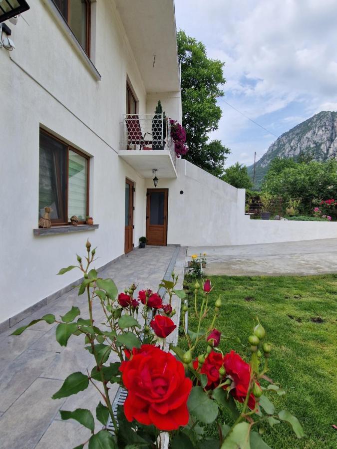 Renate House Hotell Băile Herculane Eksteriør bilde