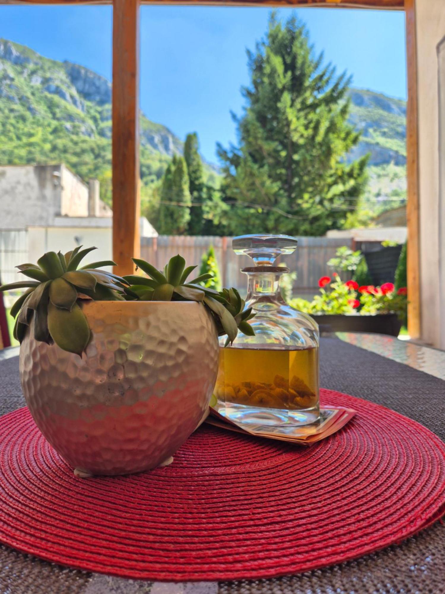 Renate House Hotell Băile Herculane Eksteriør bilde